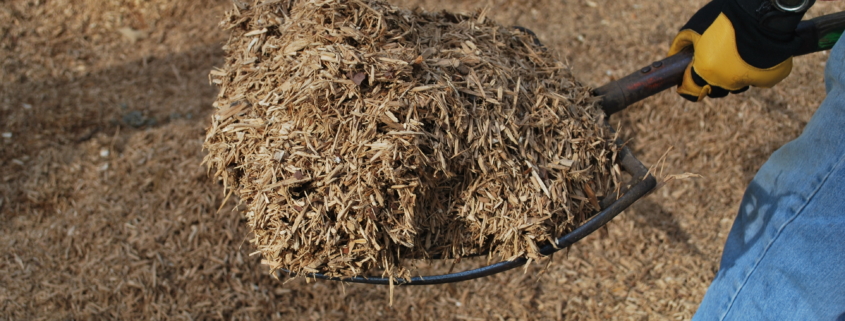 Eastern Shore Forest Products - Playground Mulch