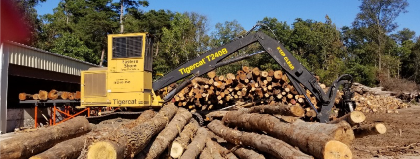 Eastern Shore Forest Products - Tree Harvesting
